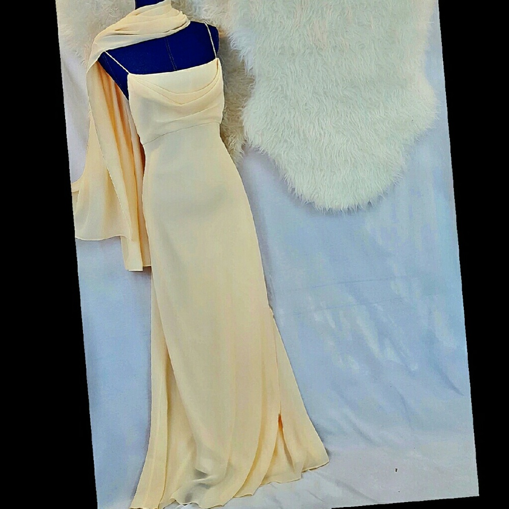 FIRM✔Michelangelo 12 Full Length Semi Formal Dress